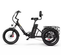 Onesport OT30 pro Cargo E-Bike