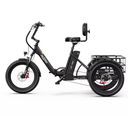 Onesport OT30 pro Cargo E-Bike