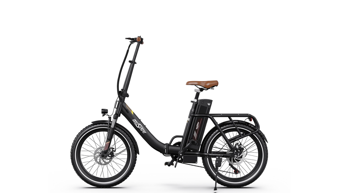 ONESPORT OT16-2 RETRO Cruiser