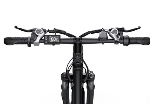 Duotts C29 E-BIKE - LIZZIE DIRECT
