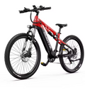 DUOTTS E29 E-BIKE - LIZZIE DIRECT